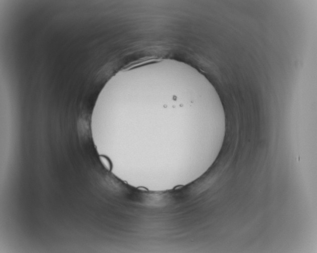 X0000111950432200908171321