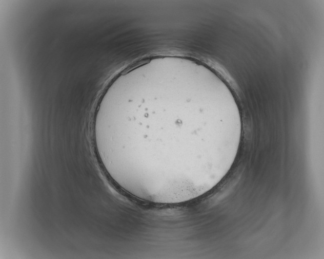 X0000111950433200908171321