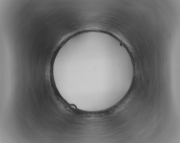 X0000111950434200908171321