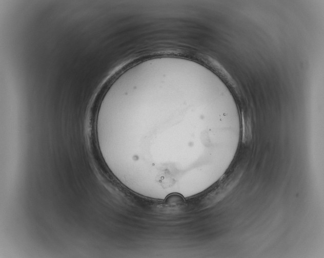 X0000111950435200908171321