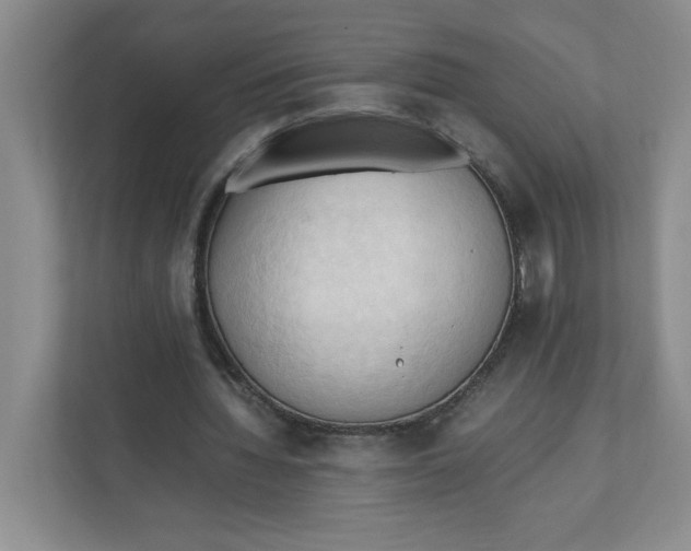 X0000111950436200908171321