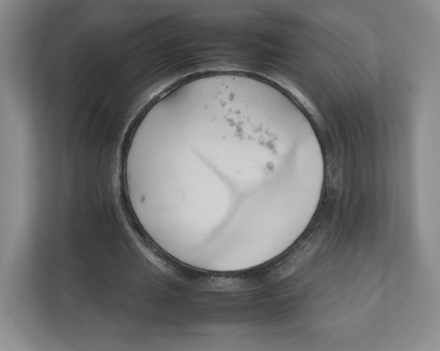 X0000111950437200908171321