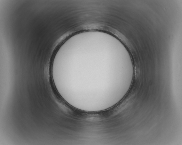 X0000111950438200908171321