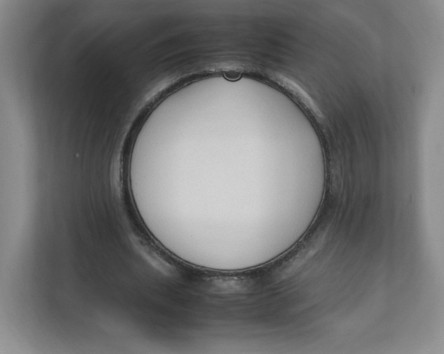 X0000111950439200908171321