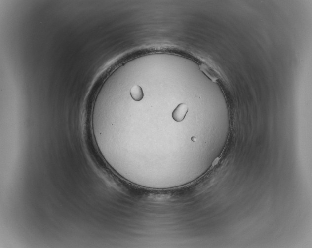 X0000111950440200908171321