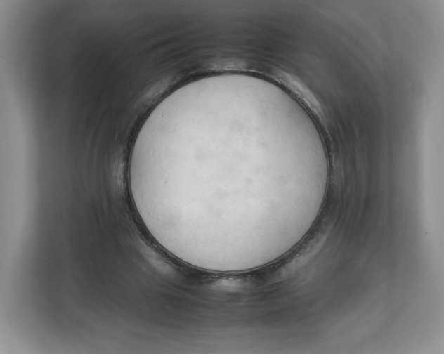 X0000111950441200908171321