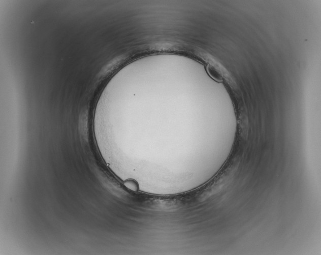 X0000111950442200908171321