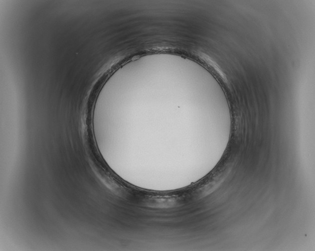 X0000111950443200908171321