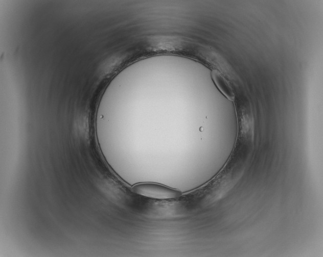 X0000111950444200908171321