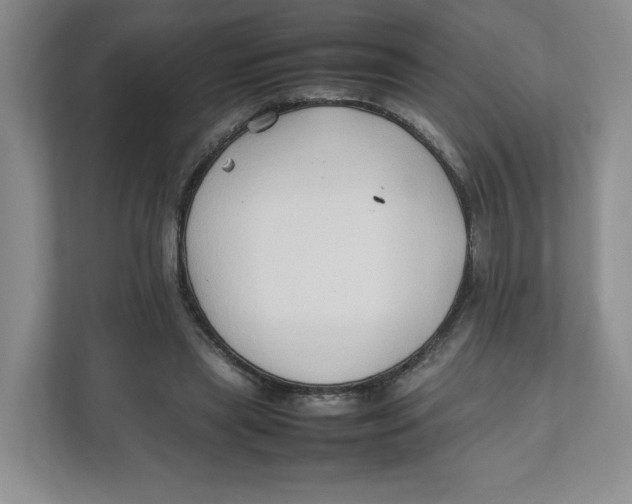 X0000111950445200908171321