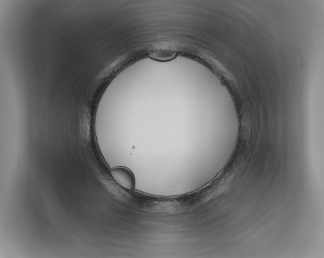 X0000111950446200908171321