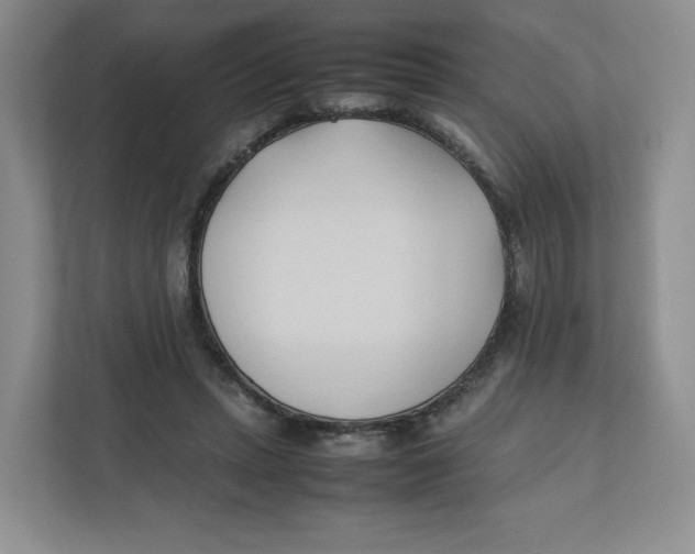 X0000111950447200908171321