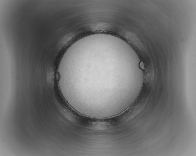 X0000111950448200908171321