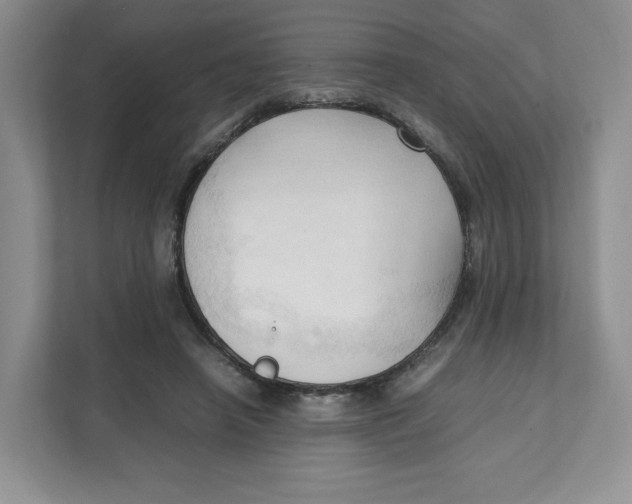 X0000111950450200908171321