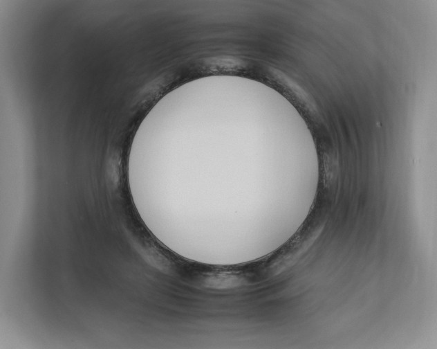 X0000111950451200908171321