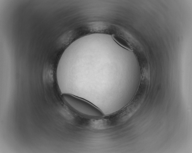 X0000111950452200908171321