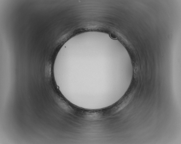 X0000111950454200908171321