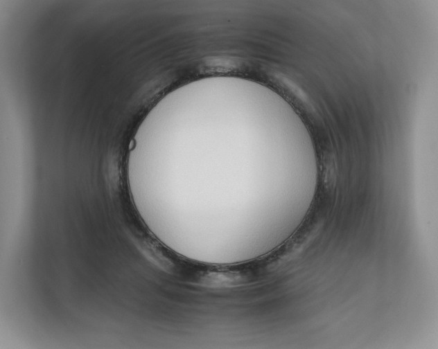 X0000111950455200908171321