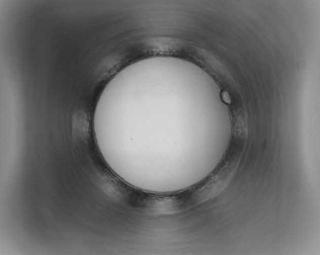 X0000111950456200908171321