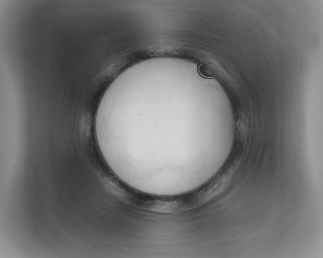 X0000111950458200908171321