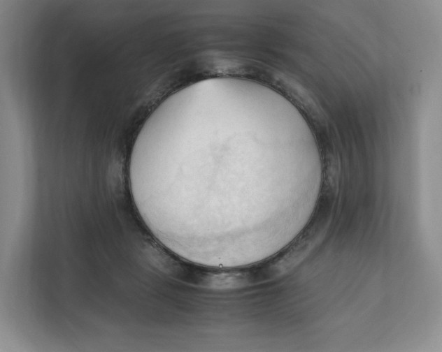 X0000111950461200908171321