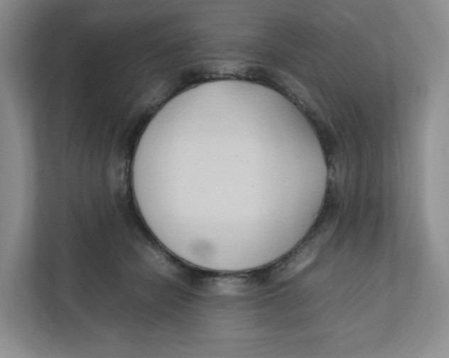 X0000111950462200908171321