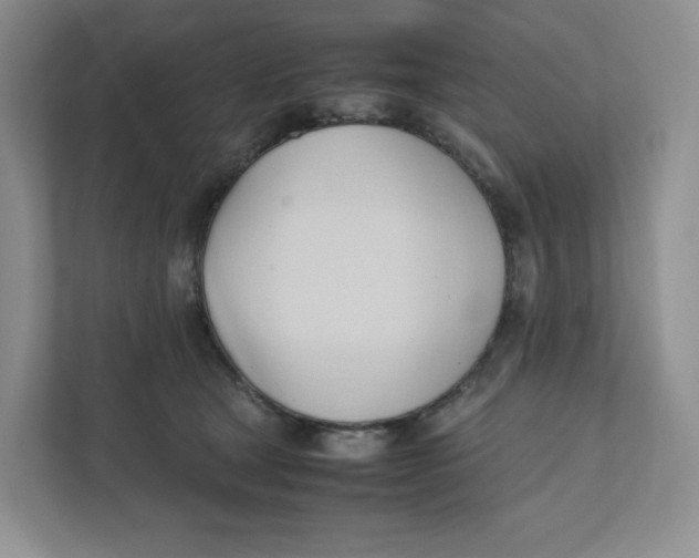 X0000111950465200908171321