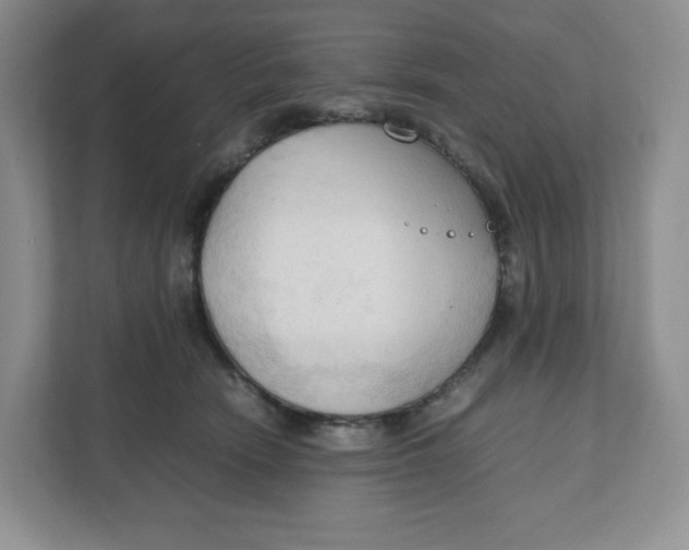 X0000111950466200908171321