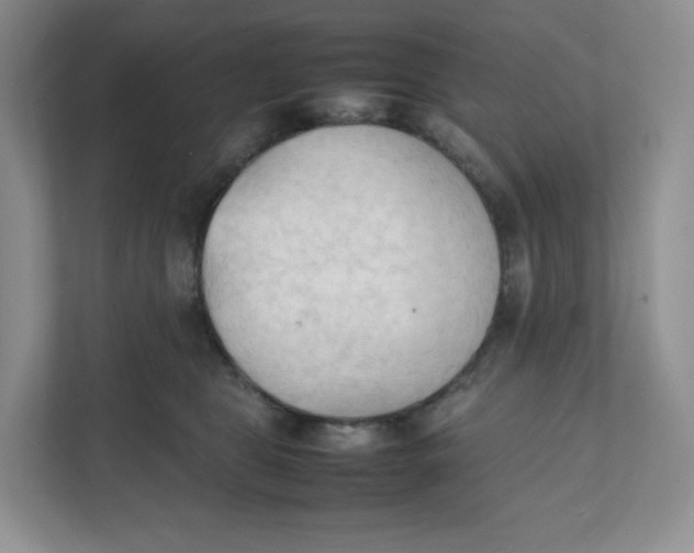 X0000111950469200908171321