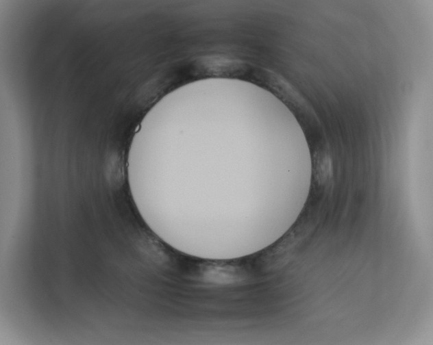 X0000111950471200908171321