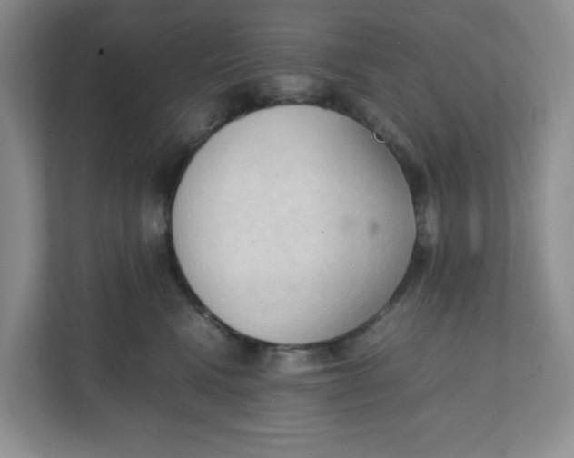 X0000111950472200908171321