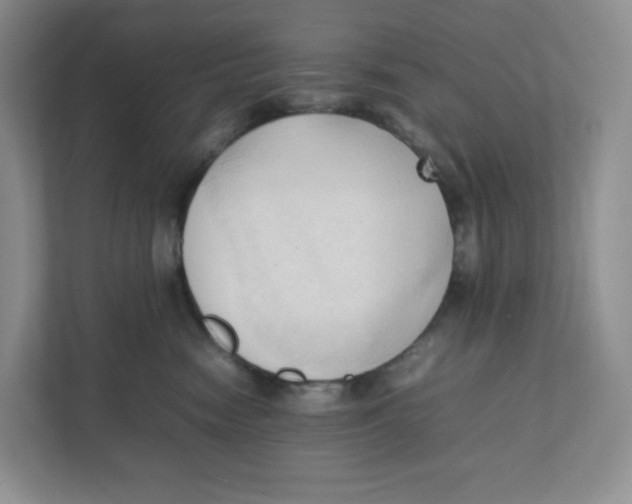 X0000111950474200908171321