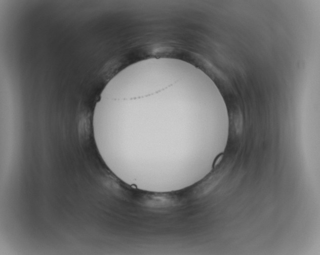 X0000111950475200908171321