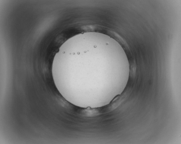 X0000111950477200908171321