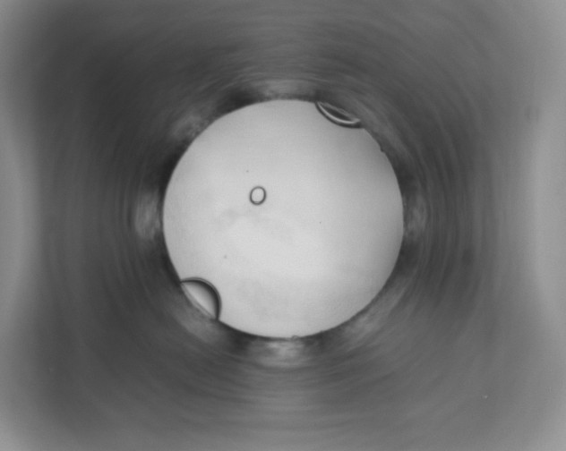 X0000111950478200908171321