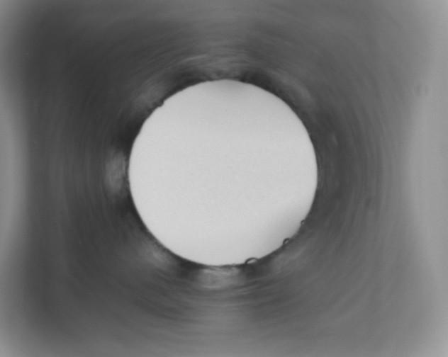 X0000111950480200908171321