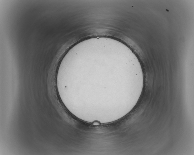 X0000111950481200908171321