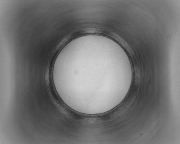 X0000111950482200908171321