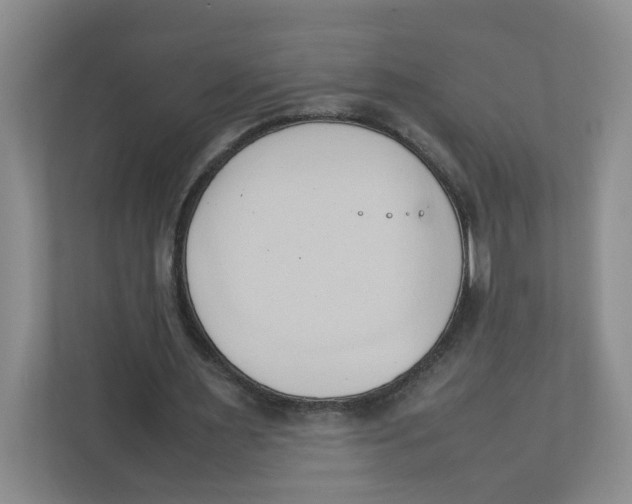 X0000111950483200908171321