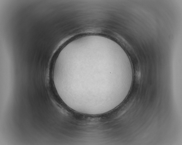 X0000111950484200908171321