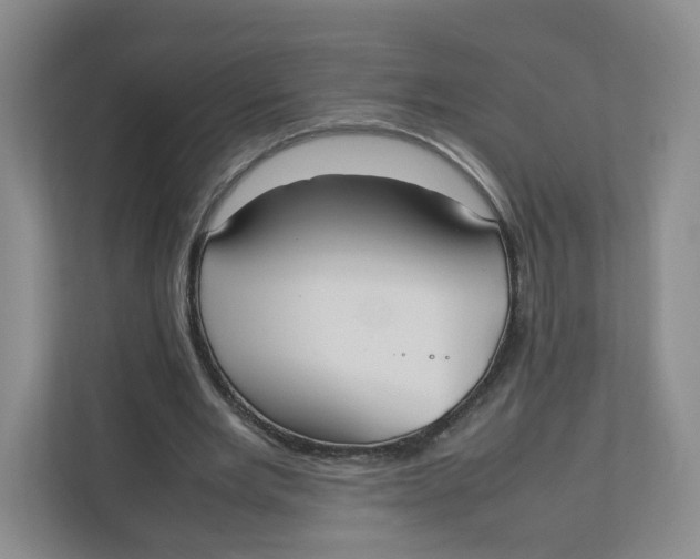 X0000111950485200908171321