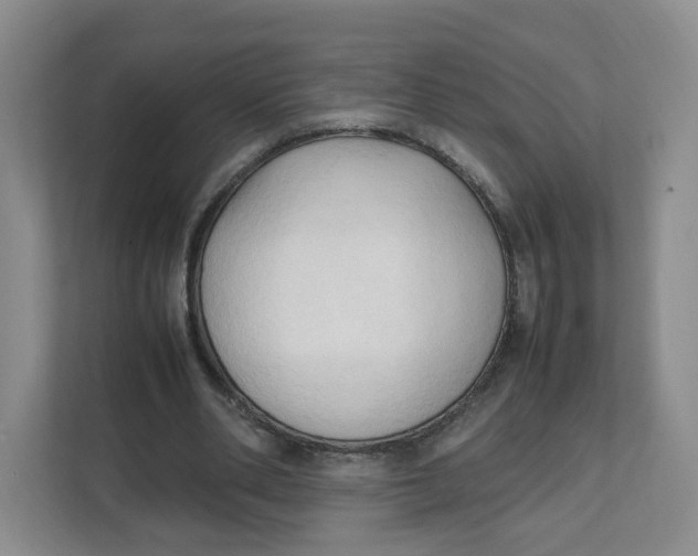 X0000111950486200908171321