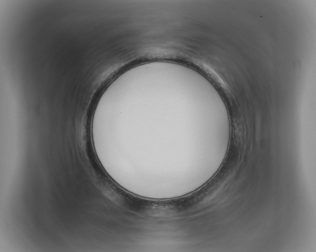 X0000111950487200908171321