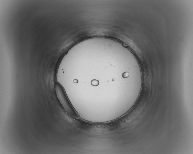 X0000111950489200908171321