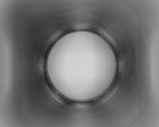 X0000111950490200908171321