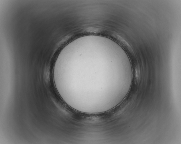 X0000111950492200908171321