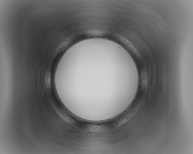 X0000111950494200908171321