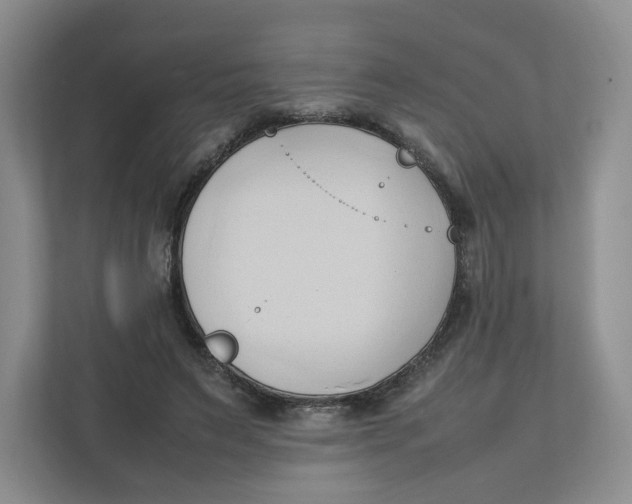 X0000111950495200908171321