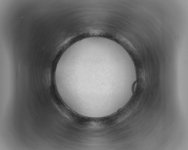 X0000111950496200908171321