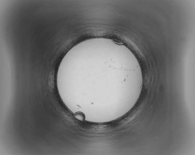 X0000111950497200908171321